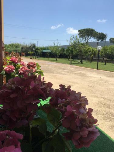 Bed & Breakfast La Casa Di Nonna Anna