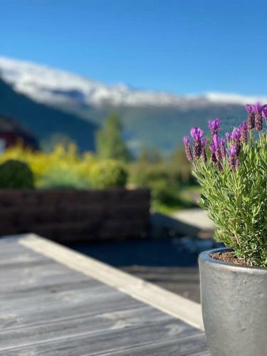 Hus I Stryn