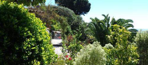 Bed & Breakfast Villa Port Sud