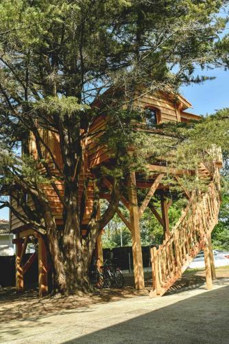 Hotel Logis H�tel Emeraude Des Bois