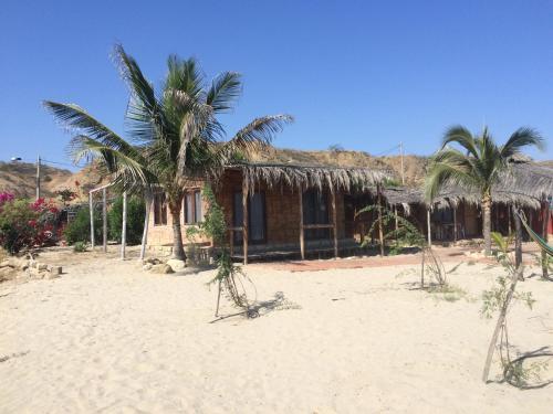 Hotel Waltako Beach Culture