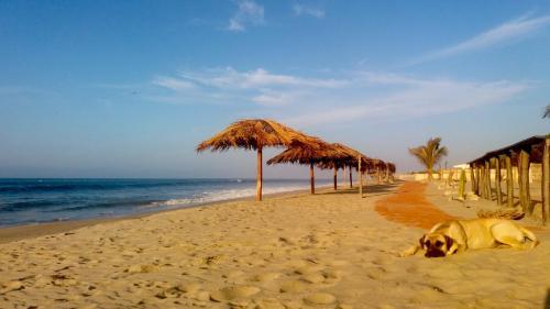 Hotel Waltako Beach Culture