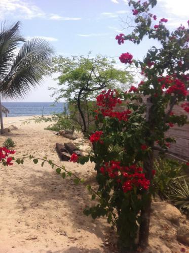 Hotel Waltako Beach Culture