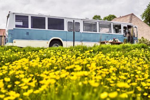 Apartamento Beachbus Terra Incognito