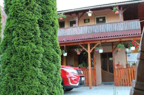 Agroturismo Pensiunea Anca Sapanta