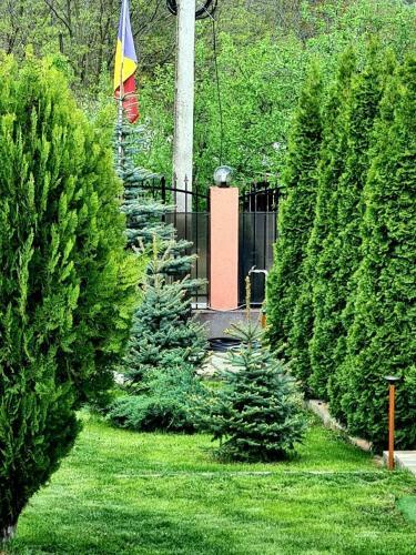 Casa Alex