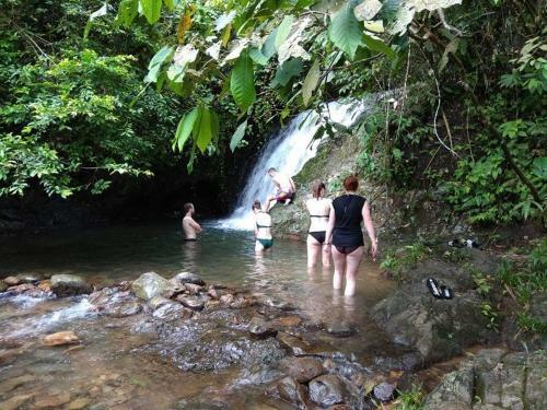 Jungle View Homestay Bukit Lawang