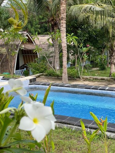 Hotel Aquarium Gili Air