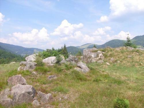 Holiday Home Les Chalets Des Ayes Le Thillot I