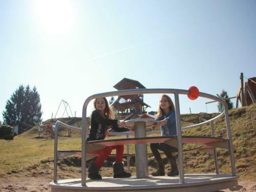Holiday Home Les Chalets Des Ayes Le Thillot IV