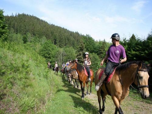 Holiday Home Les Chalets Des Ayes Le Thillot IV