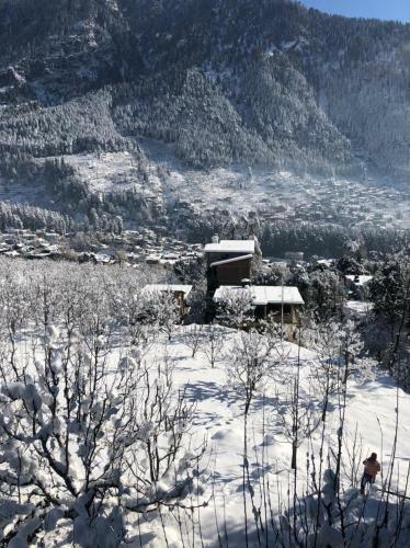Pahadi Manzil Mountain Home