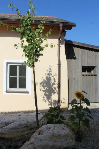 Apartamento Jurahaus Pr�ll Erdgeschoss