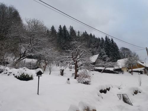 Apartm�n Karol�nka Jih