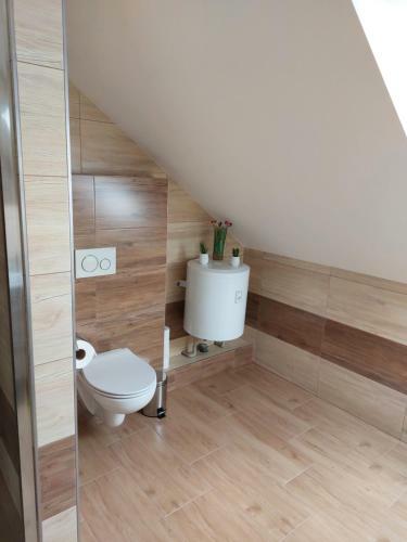 Podkrovn� Apartm�n Mat?j