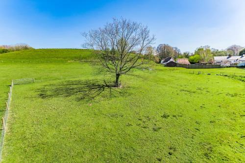Lovely Thatched House In The Devon Countryside