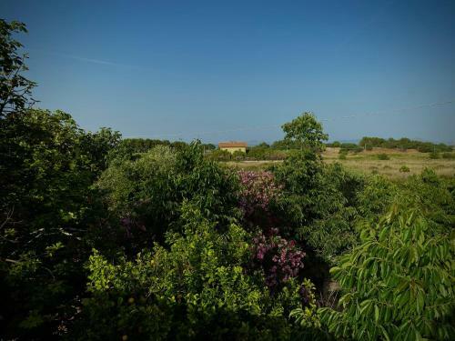 Agroturismo Masseria Anni Trenta