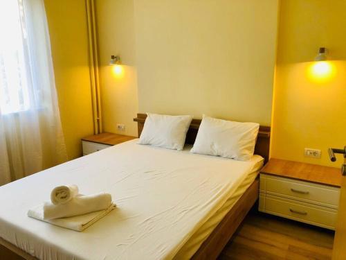 Ultra-central Apart -3 Rooms- Cathedral View Vic3