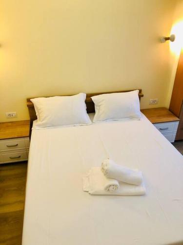 Ultra-central Apart -3 Rooms- Cathedral View Vic3