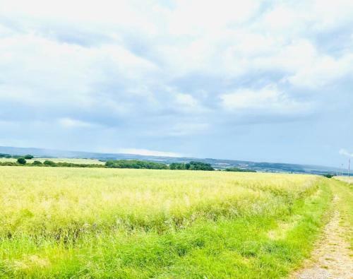 Beautifully Appointed Farmhouse With Stunning View