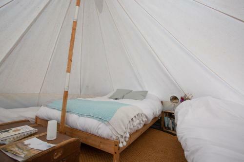 Blissful Bell Tent - Celandine