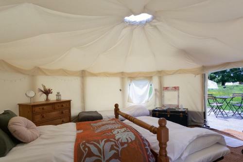 Starry Skies Yurt - Altair
