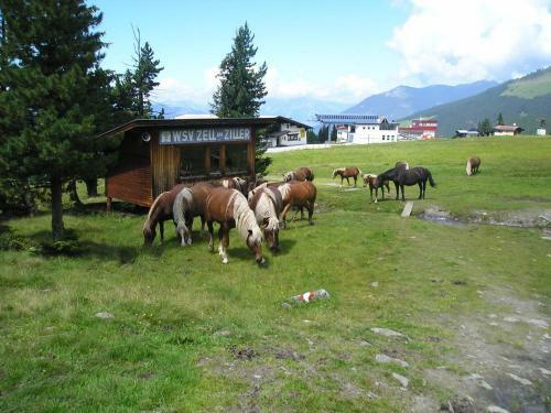 Apartamento Ferienhaus Rieser