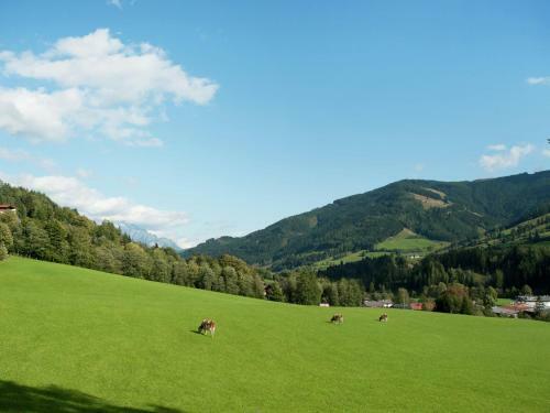 Apartamento Holiday Home Peerlings Leogang