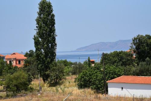 Apartamento Shining Star Petra