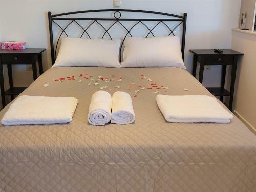 Guest House Tsanes