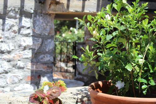Apartamento Melita Traditional Stone House