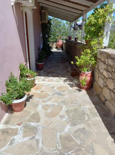 Albergue Pension Patelo