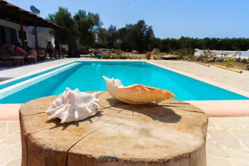 Villa Louloudia Stylish Luxury Villa With Private Pool