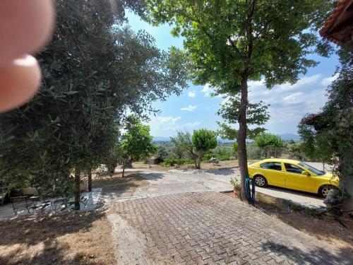 Villa Stone House 2