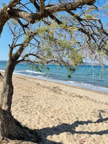 Maison Th�ia, Entre Mer Et Montagne Samonas