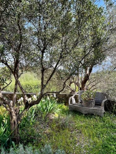Maison Th�ia, Entre Mer Et Montagne Samonas