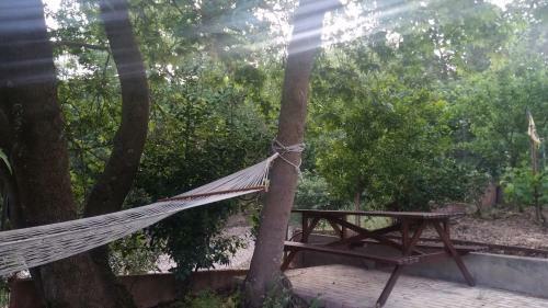 A Sun Shine Home