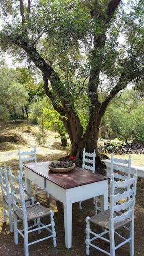 Apartamento Eleonas-olive Grove Traditional Holiday Appartment