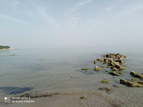 Apartamento Villa Yannis 1