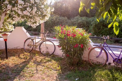 Apartamento Wilson & Andrew House - Boho Bliss