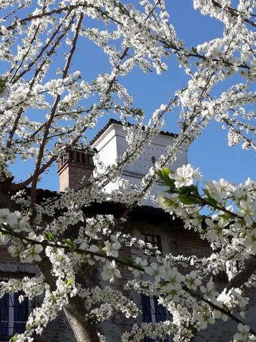 Bed & Breakfast Piccola Corte Antica