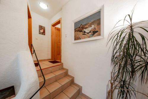 Apartamento G�stehaus Strauss