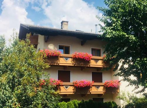 Apartamento G�stehaus Neuhauser