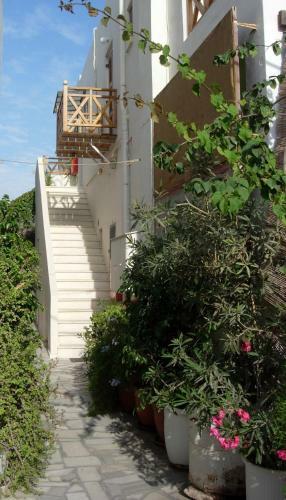 Hostal Peter & Tony Rooms