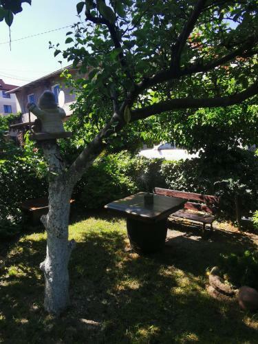 Hostal Kwatera U Zisi