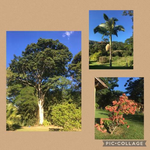 Recanto Da Floresta - Casa De Campo Em Secret�rio
