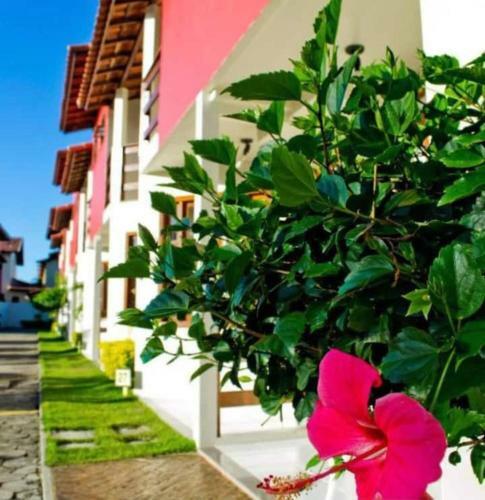 Apartamento Duplex Residencial Mont Sinai Rede Tonziro