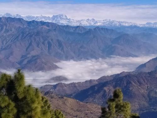 Lodge Anand Himalaya Resort