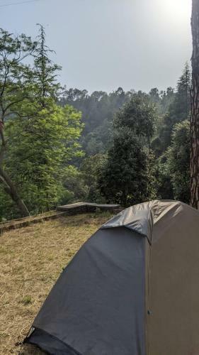 Oak Hill Homestay