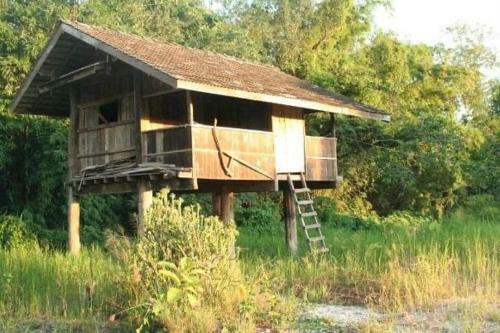 Starry Night Hostel
